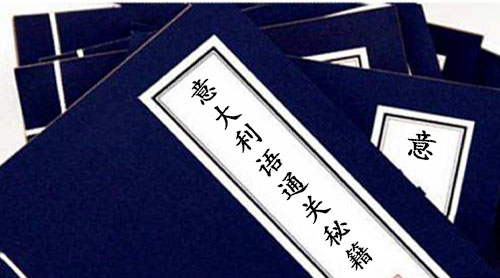 少俠留步,看你語言天賦奇高，我這有幾本